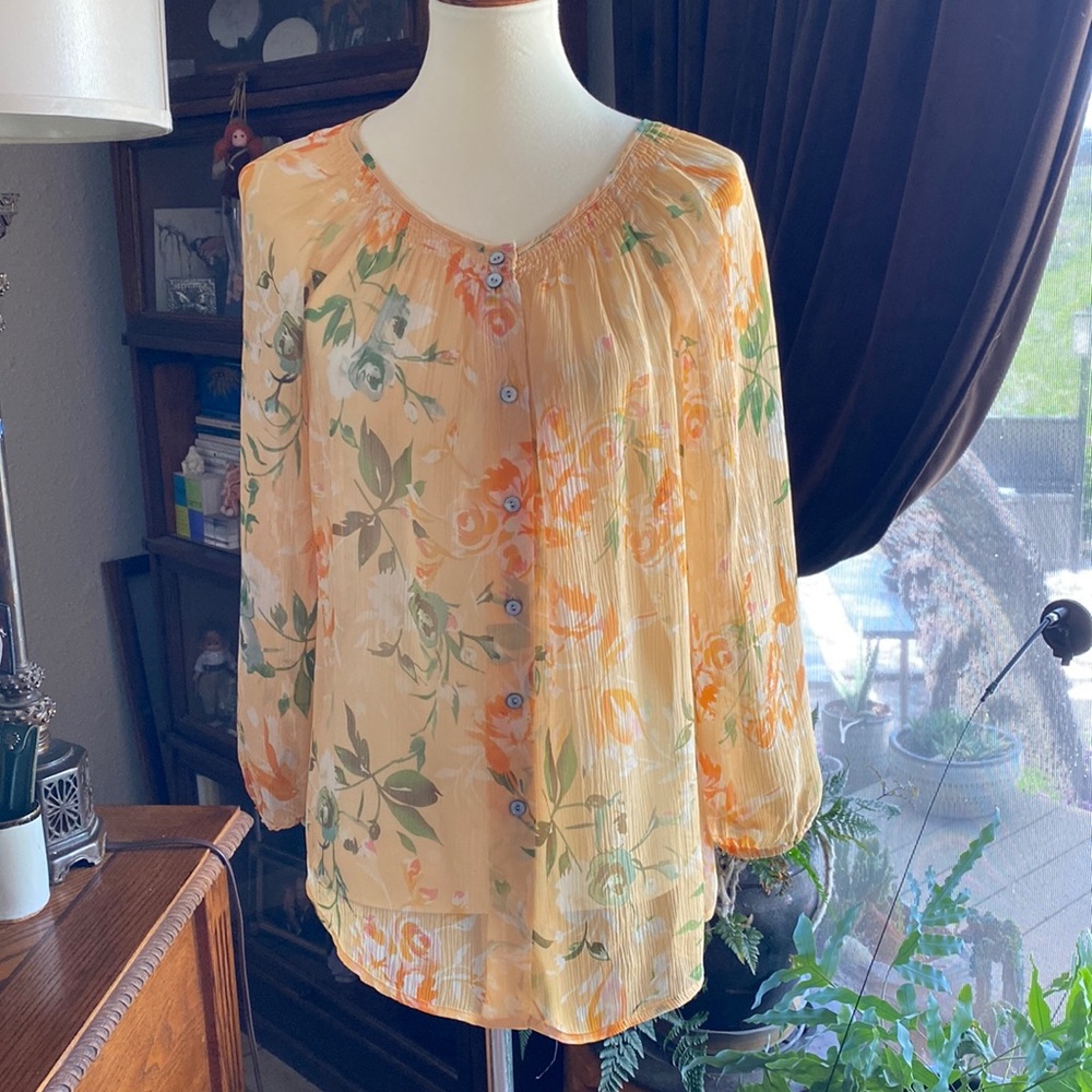 Sundance Catalog women’s sheer blouse.